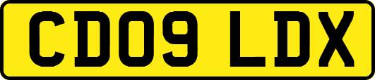 CD09LDX