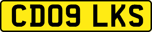 CD09LKS