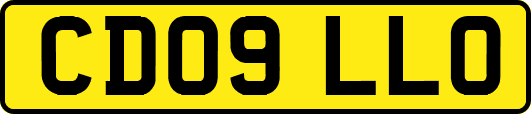 CD09LLO