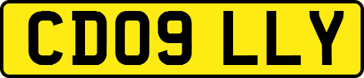 CD09LLY