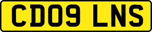 CD09LNS