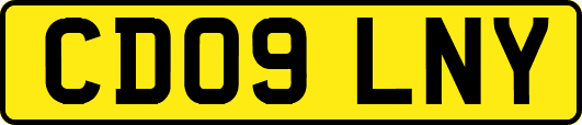 CD09LNY