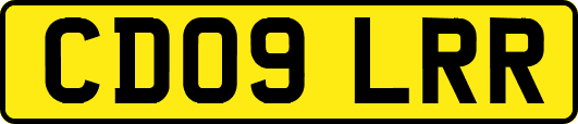 CD09LRR