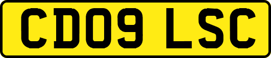 CD09LSC
