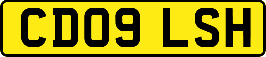 CD09LSH