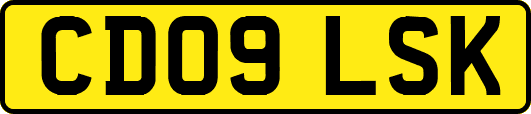 CD09LSK