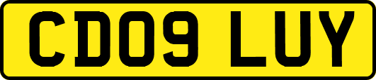 CD09LUY