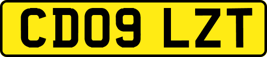 CD09LZT