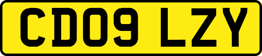 CD09LZY