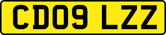 CD09LZZ