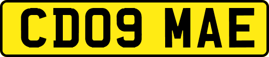 CD09MAE