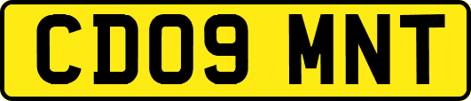 CD09MNT