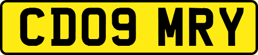 CD09MRY