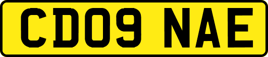 CD09NAE