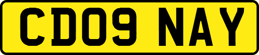 CD09NAY
