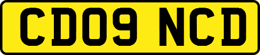 CD09NCD