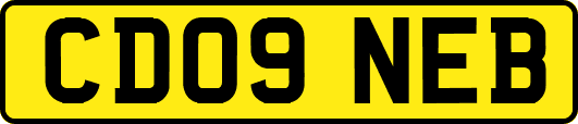 CD09NEB