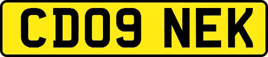 CD09NEK