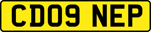 CD09NEP