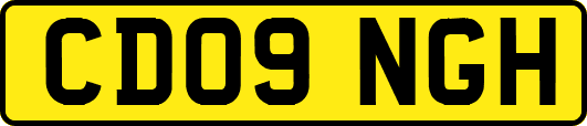 CD09NGH