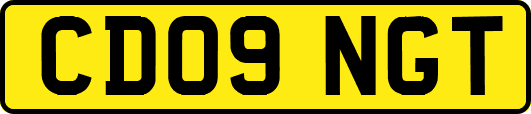 CD09NGT