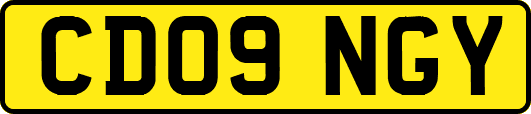 CD09NGY