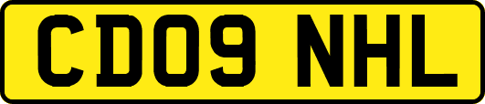 CD09NHL