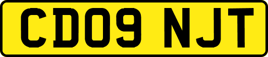 CD09NJT