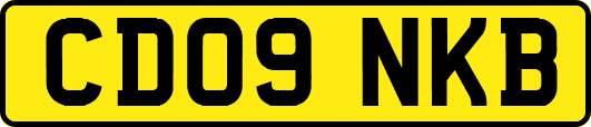 CD09NKB