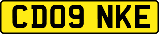 CD09NKE