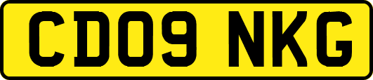 CD09NKG