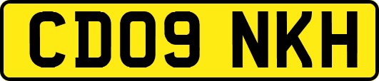 CD09NKH