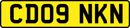 CD09NKN