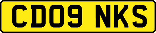 CD09NKS