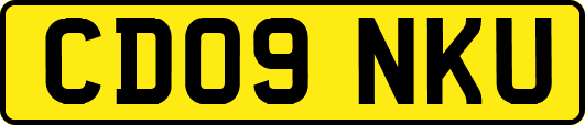 CD09NKU