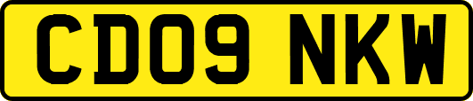 CD09NKW