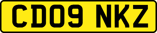 CD09NKZ