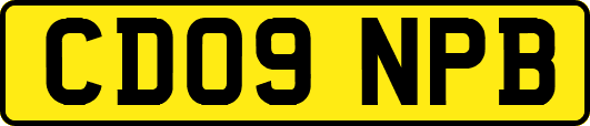CD09NPB