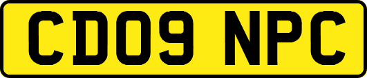 CD09NPC