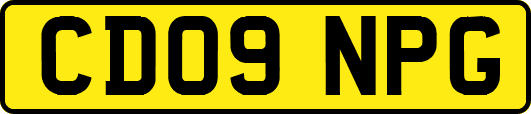 CD09NPG