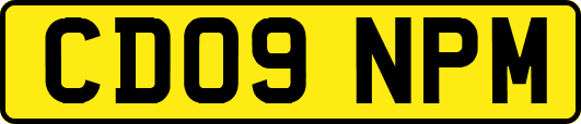 CD09NPM