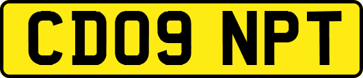 CD09NPT
