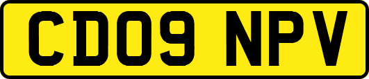 CD09NPV