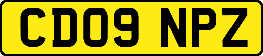 CD09NPZ