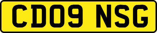CD09NSG