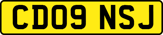 CD09NSJ