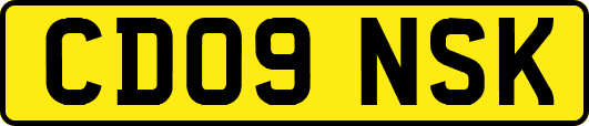 CD09NSK