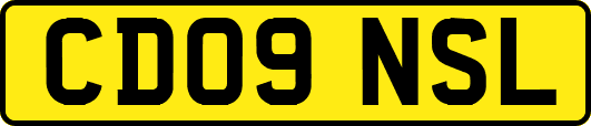 CD09NSL