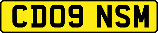 CD09NSM