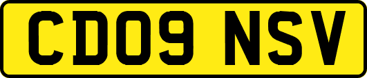 CD09NSV